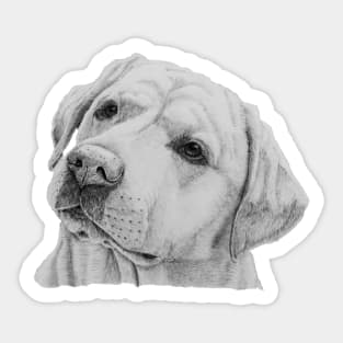 Labrador retriever - yellow Sticker